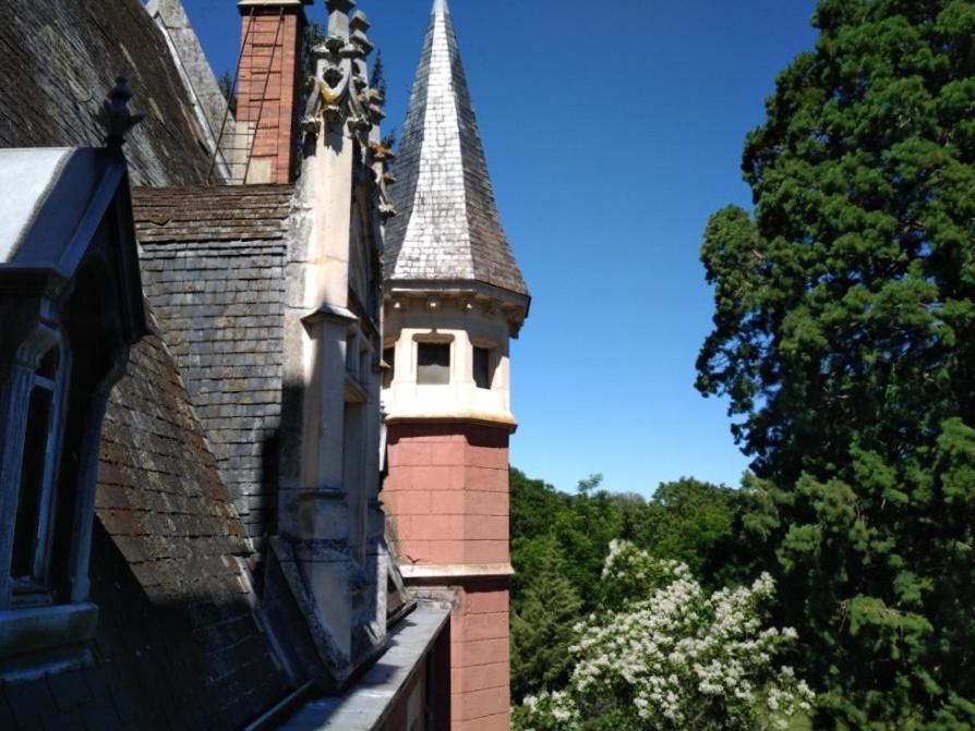 Chateau De La Vernede, La Grande Vernede Saint-Rémy-de-Chargnat Eksteriør bilde